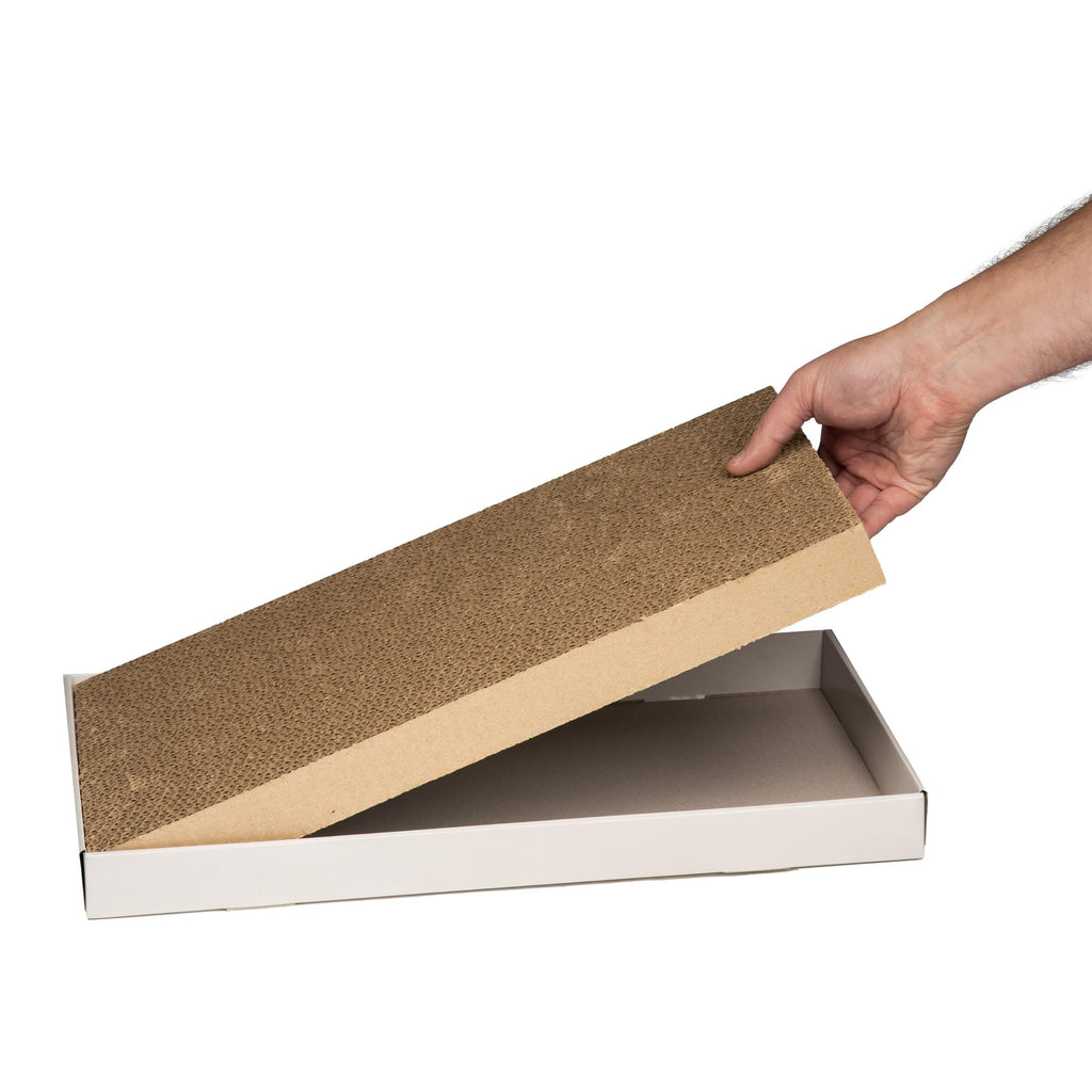 Amazon Basics Corrugated Cardboard Cat Scratcher, Scratching Board, Reversible, 17.4" x 10", White, 4-Pack