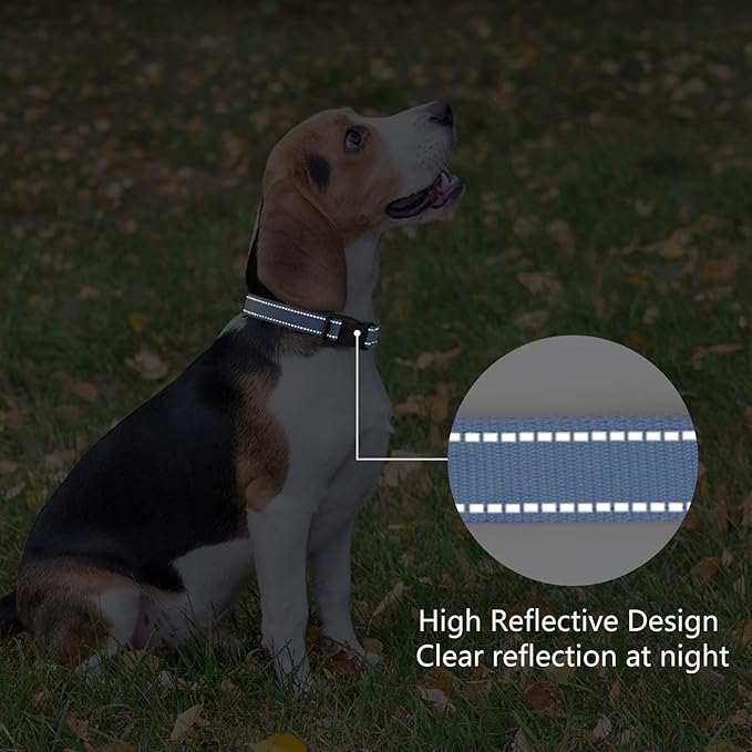 PenSeepet Reflective Dog Collar Padded with Soft Neoprene Breathable Quick Release Basic Dog Collars for Puppy Small Dogs Boy Girl Blue