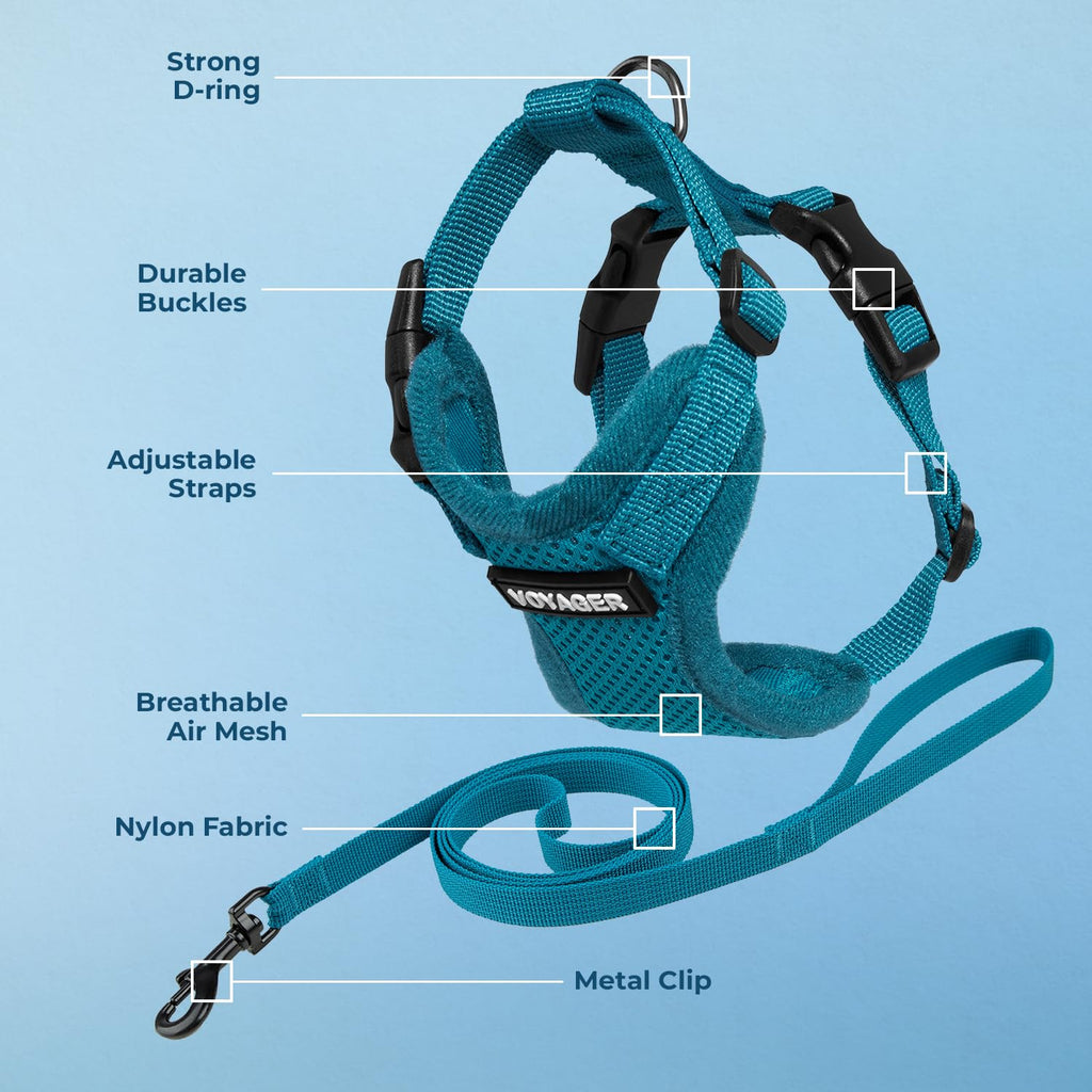 Voyager Escape-Proof Step-in Lock Cat Harness & 5ft Neoprene-Handle Leash Set All-Weather Mesh with Reflective Stitching for Small to Large Cats by Best Pet Supplies, Turquoise, XXS