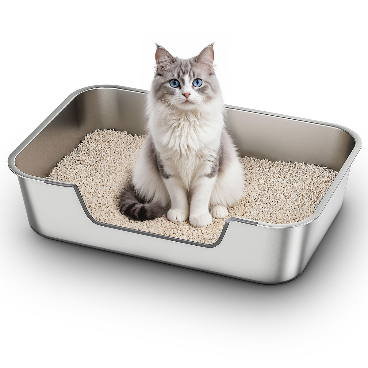 Qiuma Stainless Steel Cat Litter Box with Low Entry, Metal Kitty Litter Box for Senior or Injured Cats, Odor-Free, Non-Stick, Easy to Clean, 17.5"x13.6"x5.9", Litter Pan for Medium and Small Cats