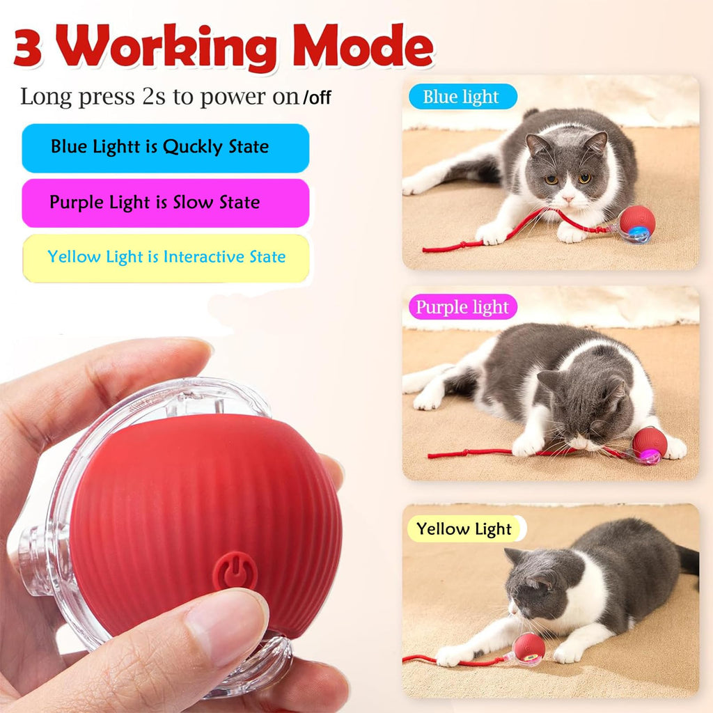 blueypet Upgrade Interactive Rolling Cats Toys Ball for Indoor