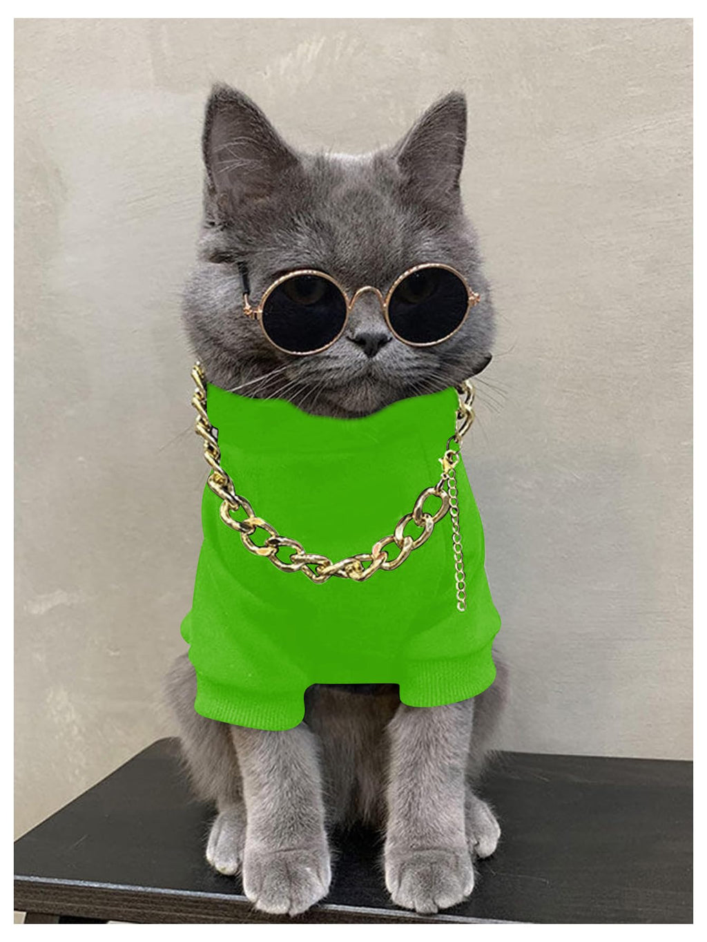 QWINEE 3Pcs Dog Hoodie Cat Apparel Dog Custume Set with Necklace and Sunglasses Pet Clothes for Puppy Small Medium Dogs Cats Green X-Large