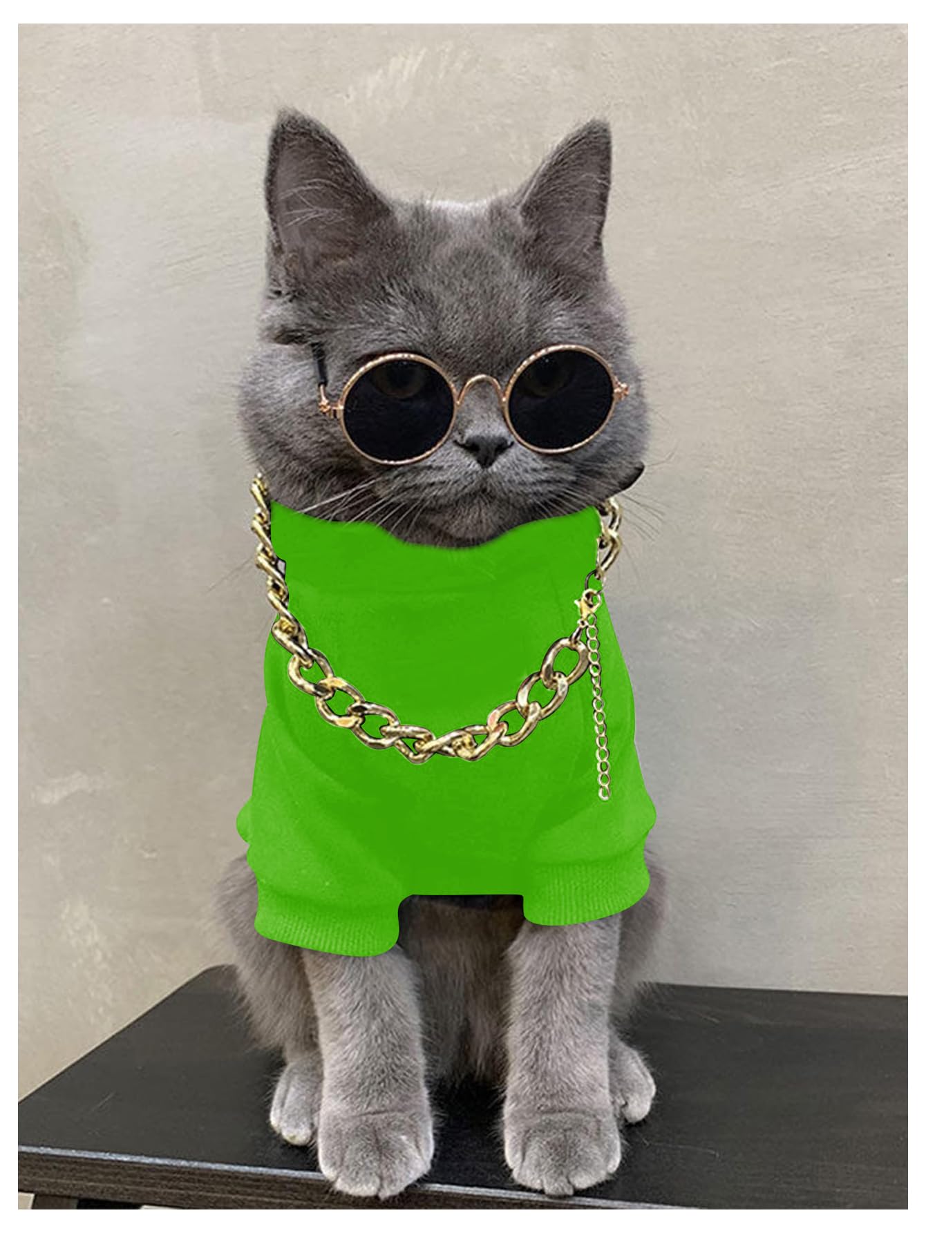 QWINEE 3Pcs Dog Hoodie Cat Apparel Dog Custume Set with Necklace and Sunglasses Pet Clothes for Puppy Small Medium Dogs Cats Green X-Large