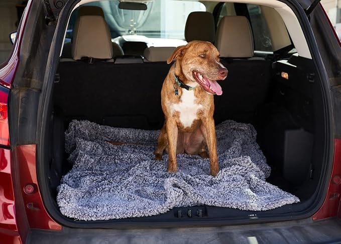 Pet Parents Premium Pet Blanket - Water Resistant Dog & Cat Blanket, Perfect for Crates, Calming, Large, Medium & Small Dogs, Puppy Size: 50x60, Color: Slate