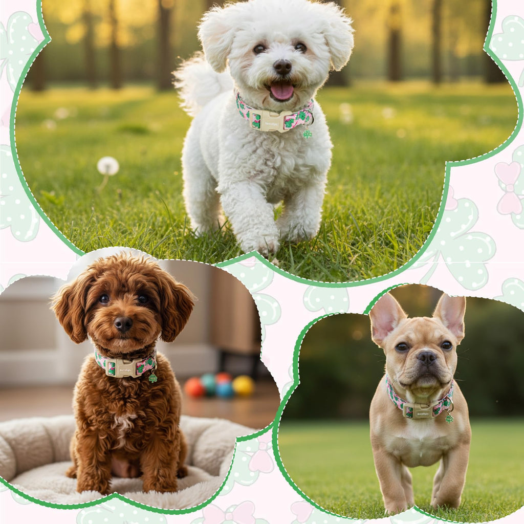 Astdogio St. Patrick's Day Dog Collar,Pink Bow with Lucky Shamrock Puppy Collar,Adjustable Spring Cotton Collars Gifts for Small Medium Large Dogs,Dog Accessories S