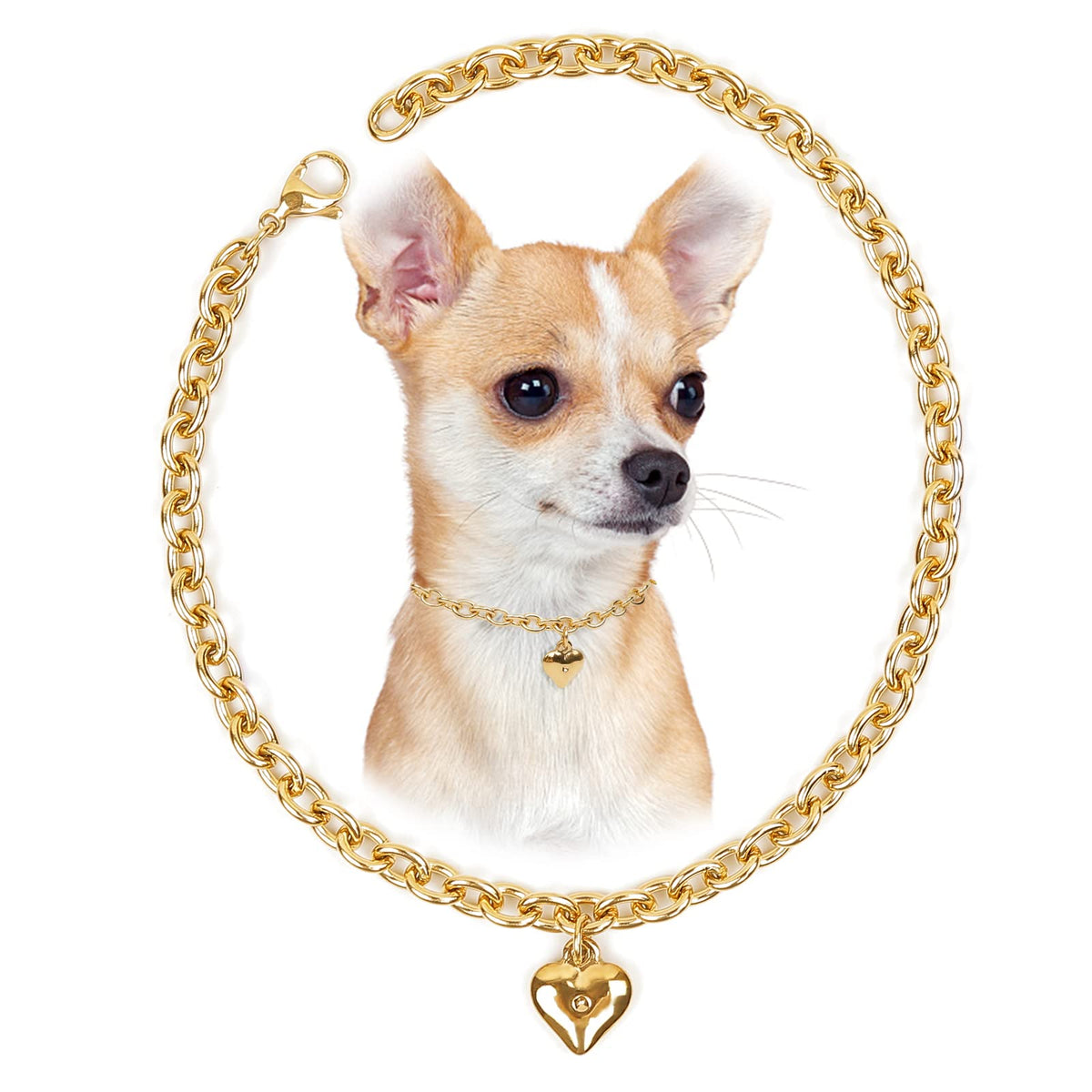 HOWWFALY Dog Collar and Dog Chain Necklace Stainless Steel Adjustable 18K Sliver Heart-Shaped Necklace for Small Pets Cats Kitten Puppy (Sliver, 12 inch)