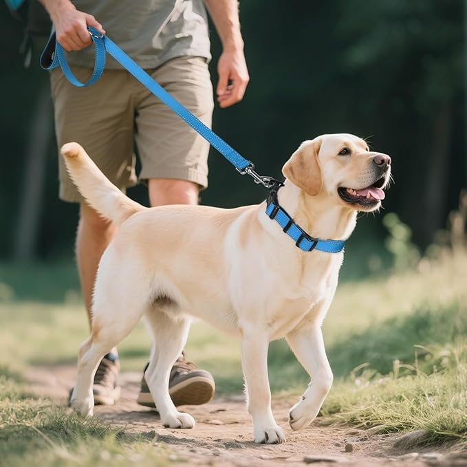 Joytale Reflective Dog Collar, Adjustable Neoprene Padded, Sky Blue L