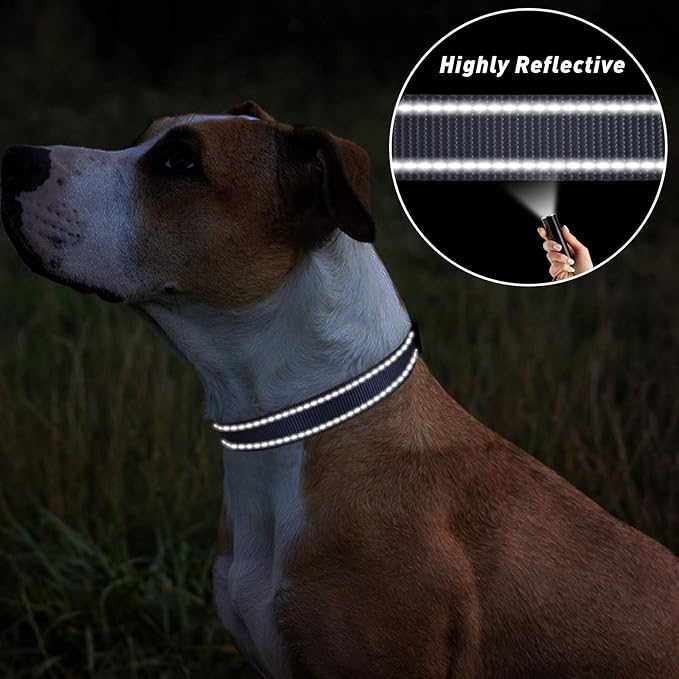 TagME Small Dog Collar, Reflective Puppy Collar, Gray, 5/8" Width