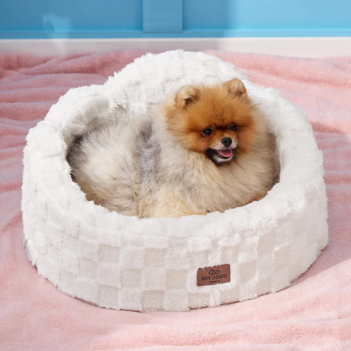 Joydeco Cloud Dog Bed for Small Dogs & Cats, Washable Pet Bed with Orthopedic Foam and Removable Checkered Plush Pad, Non-Slip Bottom for Indoor Puppies and Kittens, 22x20 Inch, Pink