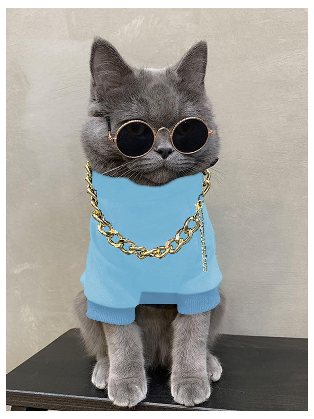 QWINEE 3Pcs Dog Hoodie Cat Apparel Dog Custume Set with Necklace and Sunglasses Pet Clothes for Puppy Small Medium Dogs Cats Light Blue XX-Small
