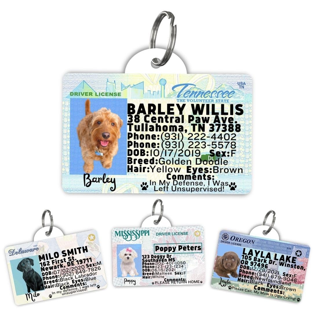 Dog Tags Personalized, Dog ID License Tag for Pets (Washington, Tag)