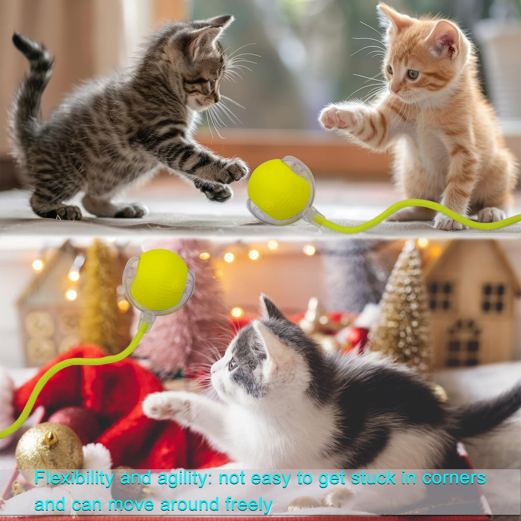 Interactive Cat Dog Toy Ball with LED Light, Automatic Rolling(Yellow)