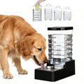 RIZZARI 9L Automatic Dog Water Dispenser: Stainless Steel Bowl