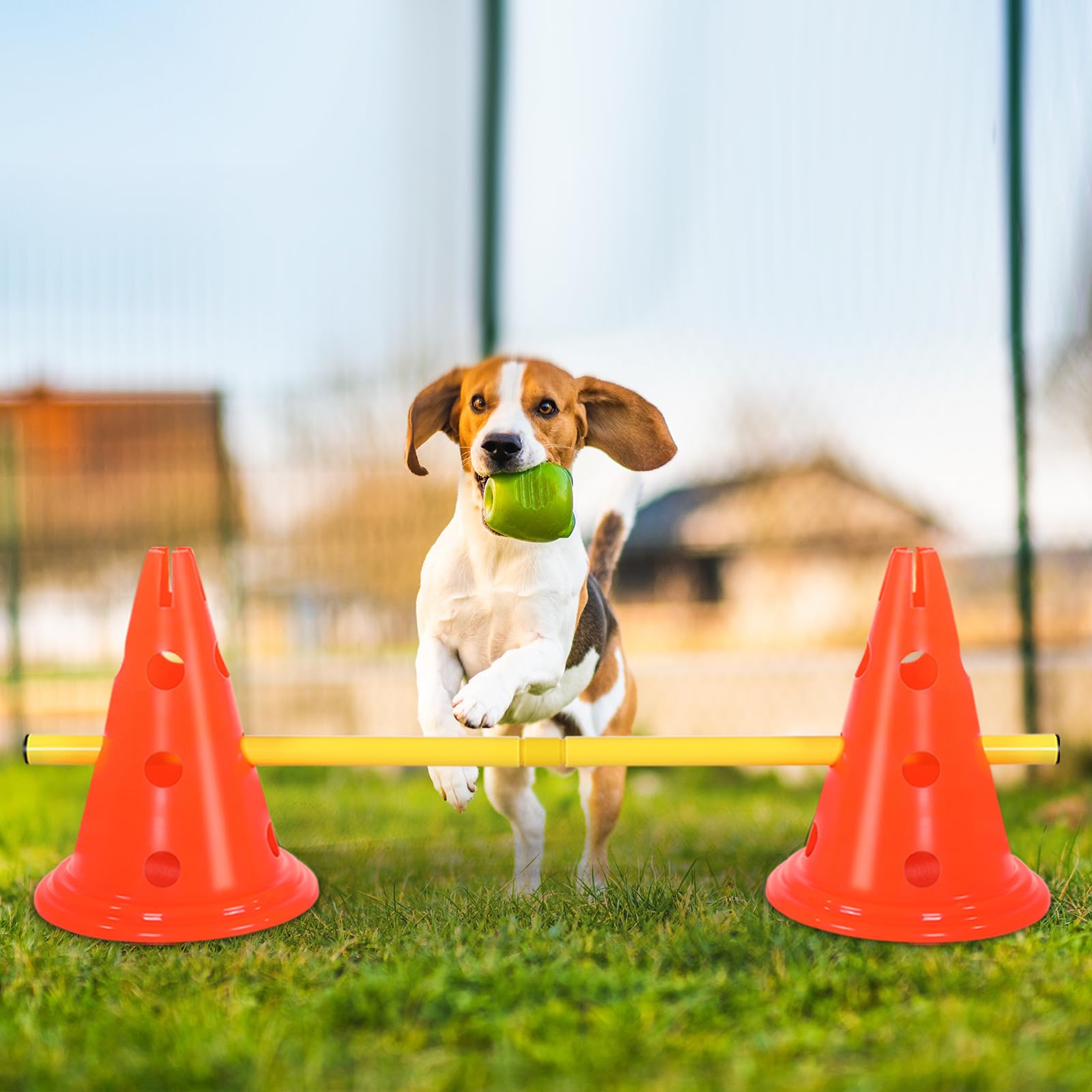 Glimin 10 Sets Dog Agility Hurdle Cone Set 20 Pcs Exercise Cones with 10 Pcs Rods Adjustable Obstacle Portable Agility Training Equipment Canine Pole(Orange and Yellow)