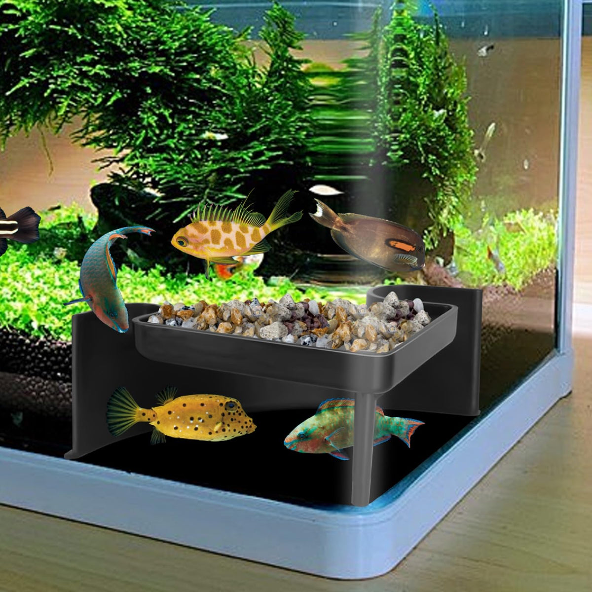 Shrimp Cave for Aquarium Tanks – Durable Fish Tank Decor, Natural Hideout for Ghost Shrimp, Fry, and Nano Fish (Easy to Clean)