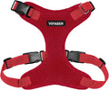 Voyager Step-in Pet Harness - All Weather Mesh, Adjustable Step in Harness for Cats and Dogs by Best Pet Supplies - Red, L