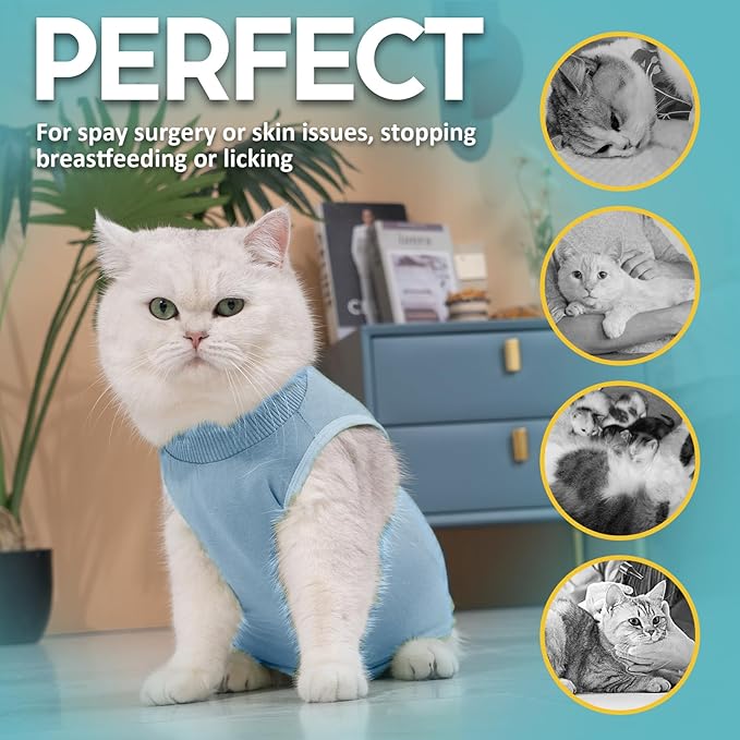 Avont Cat Recovery Suit - Kitten Onesie for Cats After Surgery