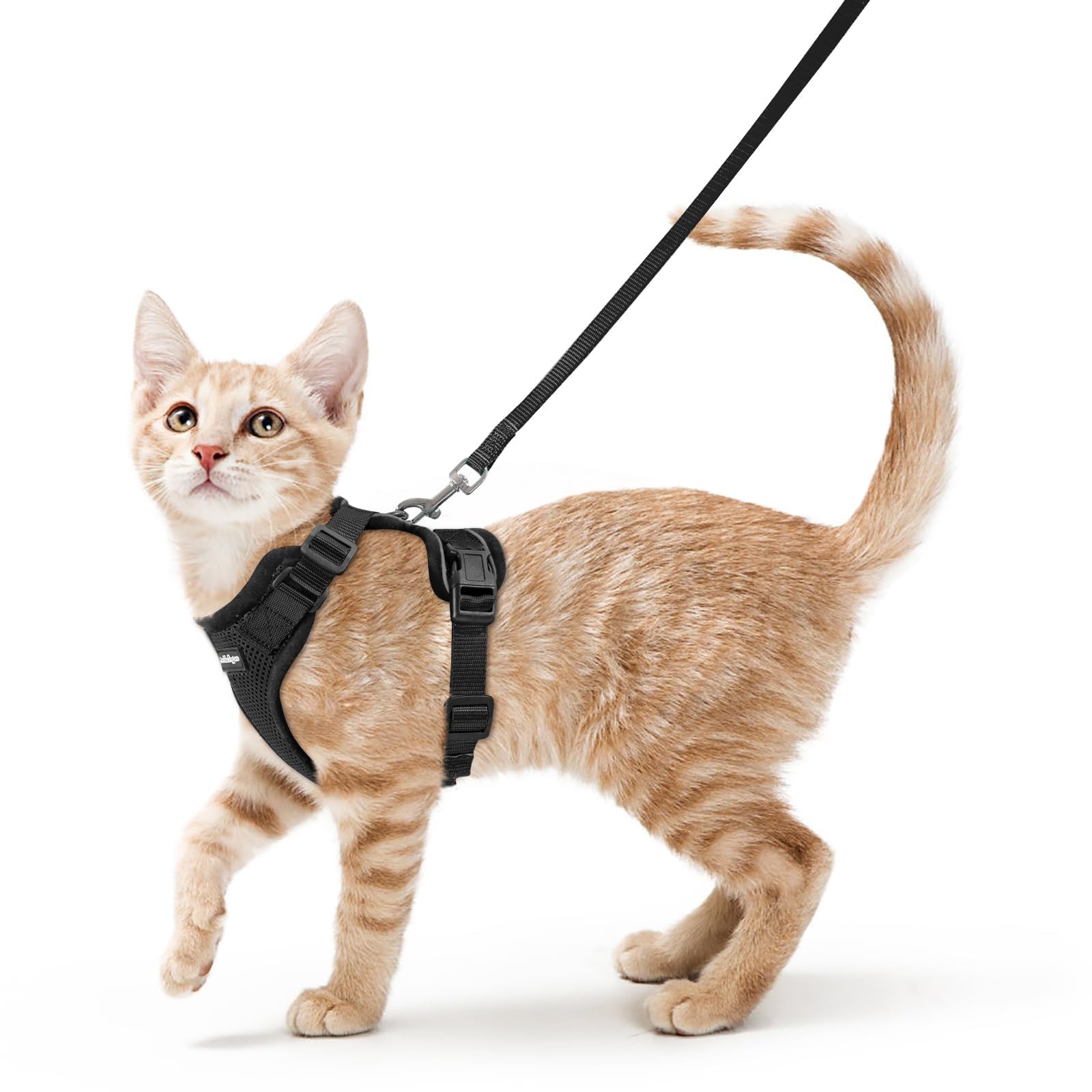 rabbitgoo Cat Harness and Leash Set, Escape Proof Vest, Emerald