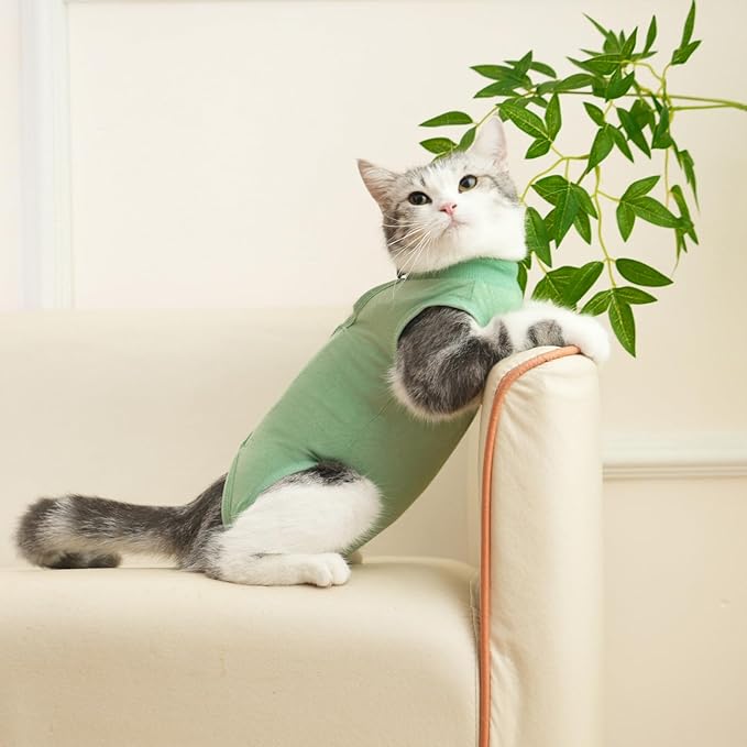 kzrfojy Cat Recovery Suit Cat Onesie for Cats After Surgery Female Male Spay Kitten Neuter Surgical Bodysuit Post Surgery Cone of Shame Alternative Anti Licking (Green, Small)