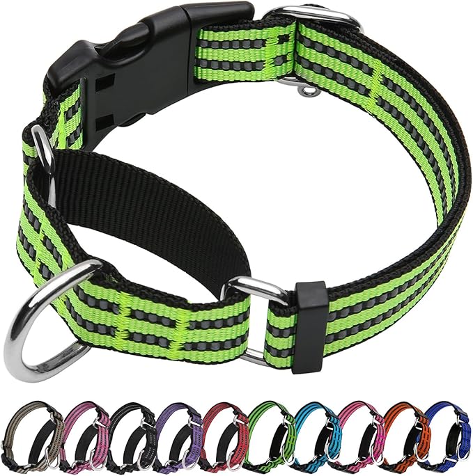 JOYEEIIOO Martingale Dog Collar, Adjustable Nylon Reflective Collar with Quick Release Buckle, No Pull Dog Training Collars for Small Medium Large Dogs (Lime Green Medium)