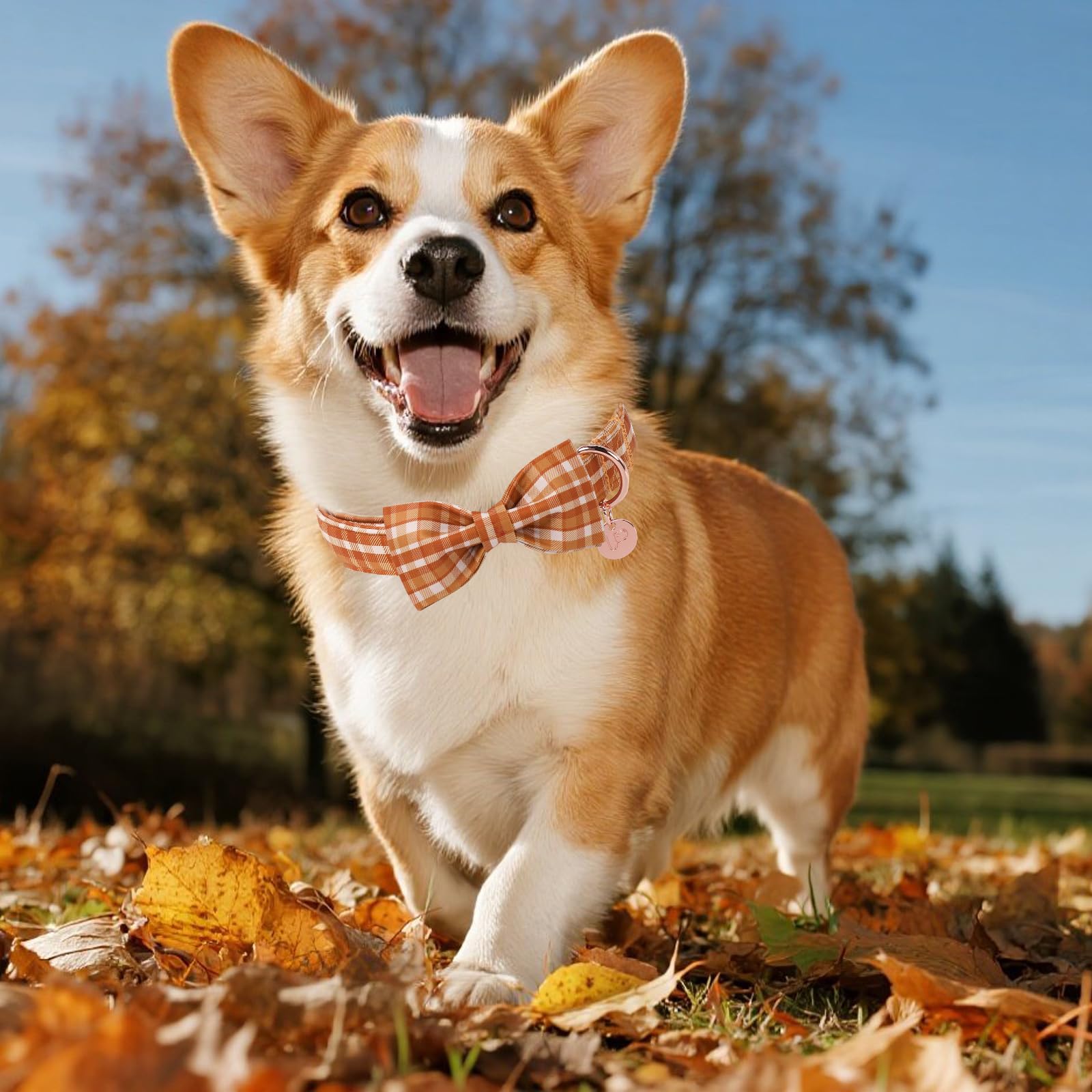 UP URARA PUP Fall Plaid Dog Collar and Bow Tie Set – Brown Orange Checkered Adjustable Collar with Maple Leaf Charm for Small Medium Large Dogs, Soft Cotton Puppy Collar with Quick Release Buckle