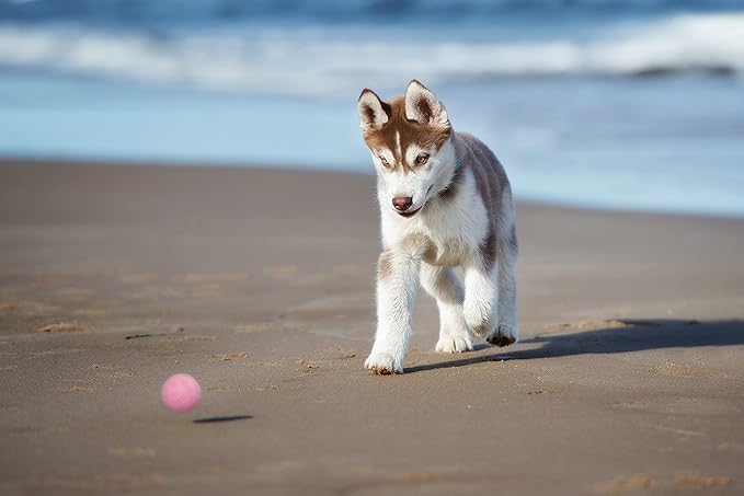 Snug Rubber Dog Balls for Small and Medium Dogs - Tennis Ball Size - Virtually Indestructible (3 Pack - Pink)