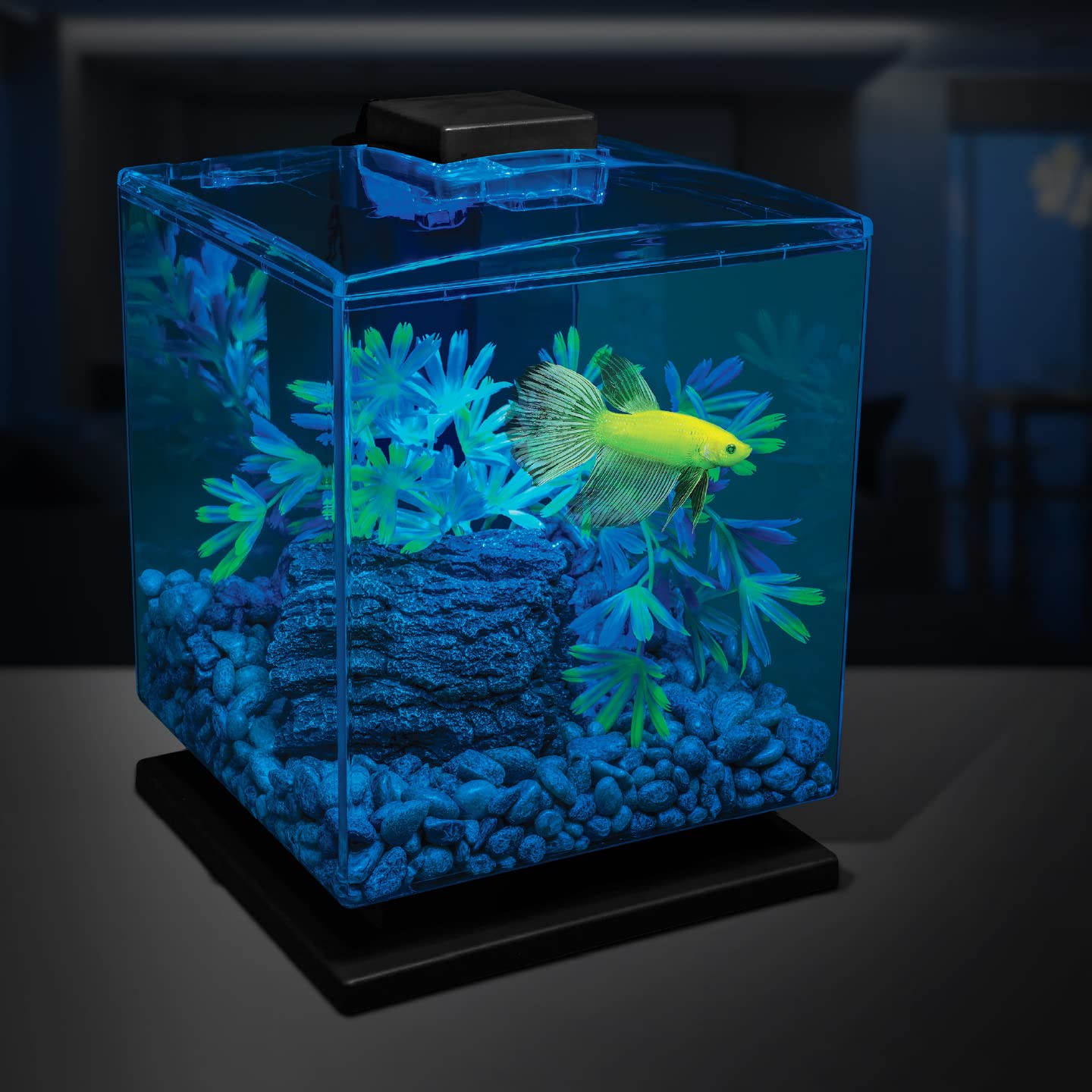 GloFish Aquarium Gravel 5 Pounds, Pearlescent, Complements Tanks and Décor (AQ-78484)