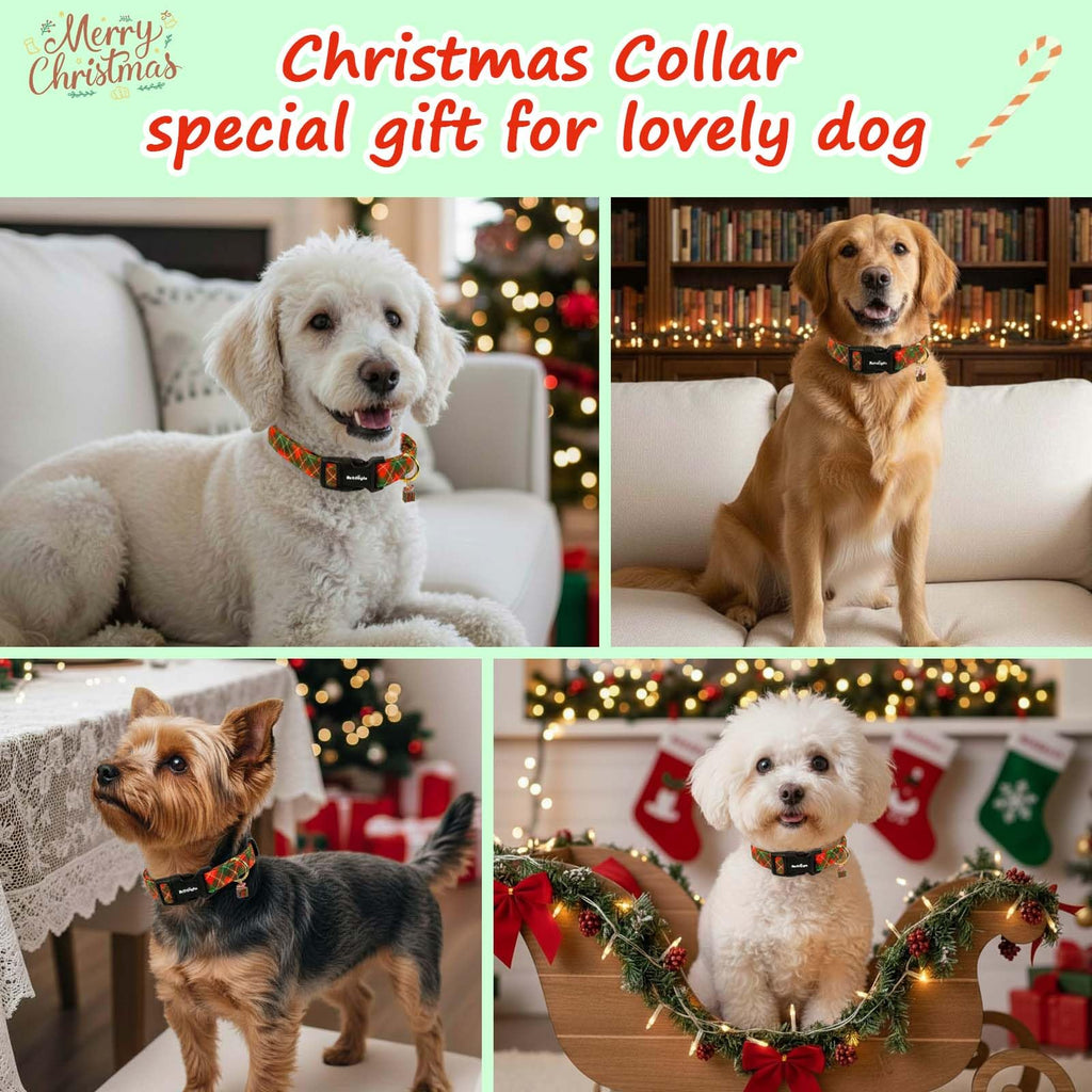 Astdogio Medium Christmas Dog Collar,Adjustable Dog Christmas Collars, Red Green Plaid Puppy Collar, Cute Dog Collars Holiday Collar for Girl Boy Dogs-M