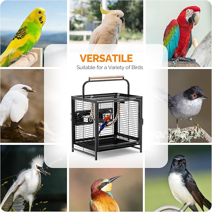 VINGLI Small Bird Cage, 19 inch Travel Carrier Bird Cage with Handle, Wrought Iron Parakeet Cage with Wooden Perch for Parrot Lovebirds Finches Small/Medium Birds (Hammertone Black)