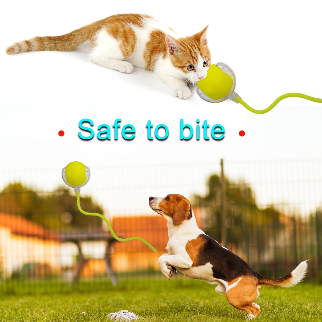 Interactive Cat Dog Toy Ball with LED Light, Automatic Rolling(Yellow)