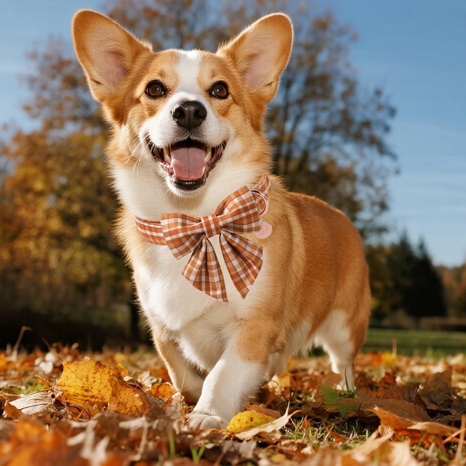 UP URARA PUP Fall Plaid Dog Collar and Bow Tie Set – Brown Orange Checkered Adjustable Collar with Maple Leaf Charm for Small Medium Large Dogs, Soft Cotton Puppy Collar with Quick Release Buckle
