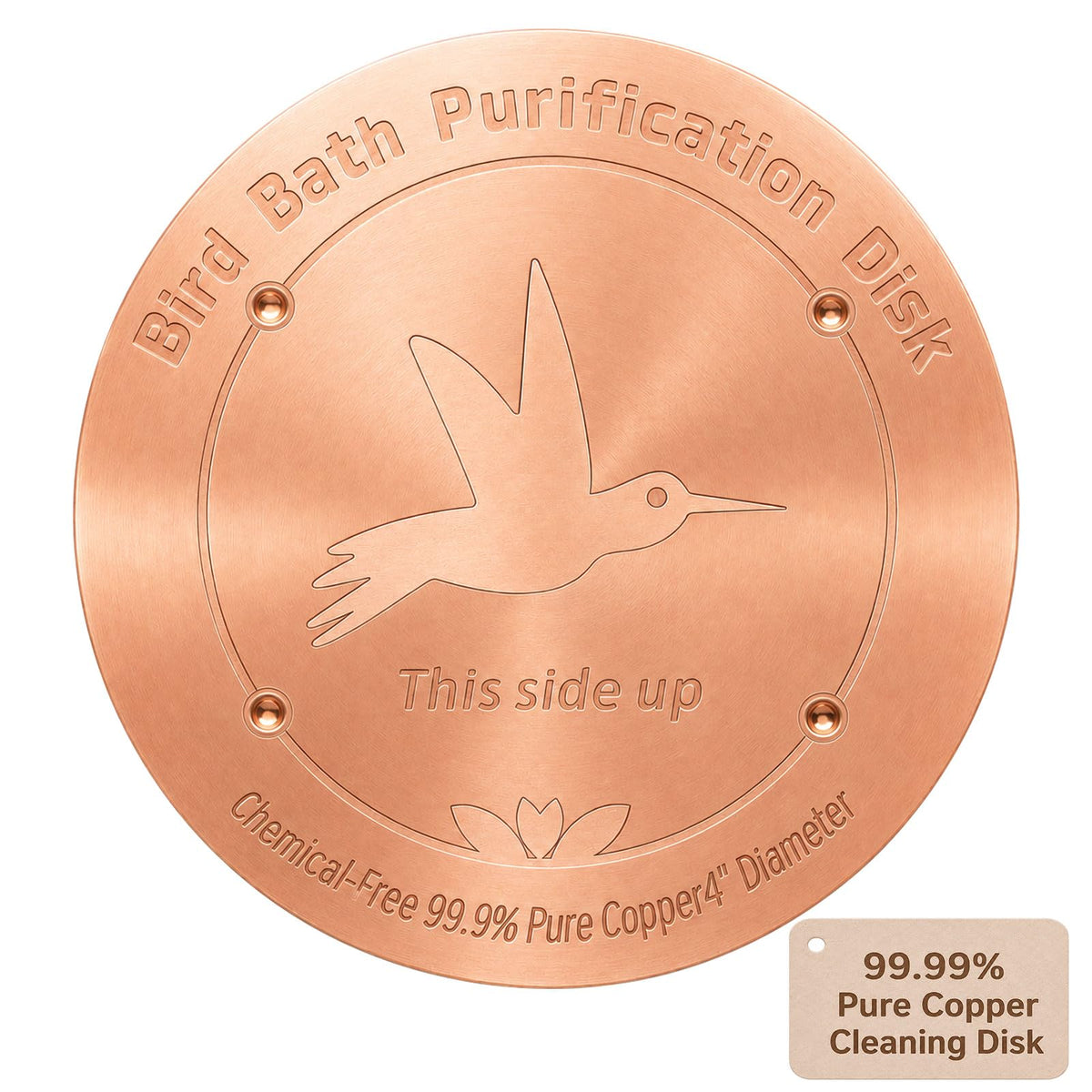 CTTZCKJ 3PCS Pure Copper Bird Bath Purification Disk - 4" Diameter, 0.6mm Thick, Reinforced with Four-Point Support, Universal Fit for Outdoor Birdbath & Bowl