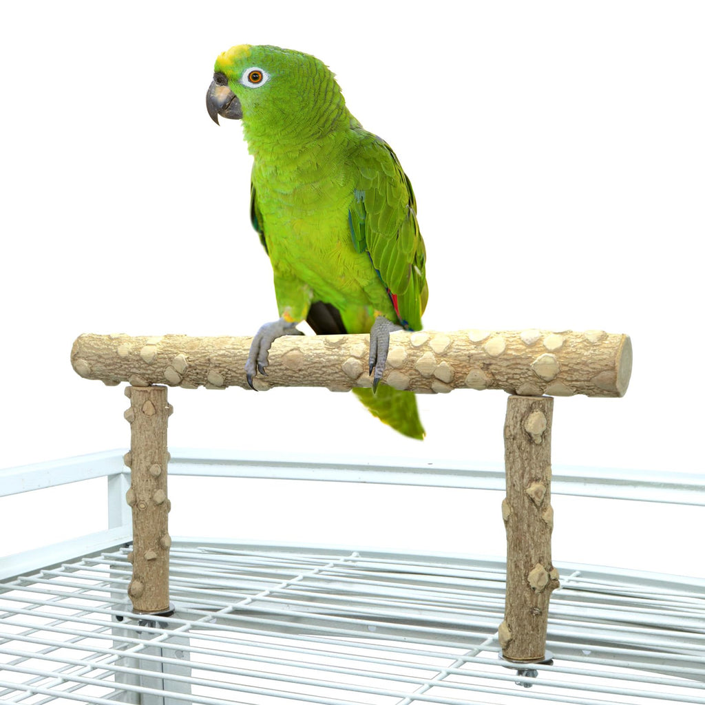 Bird Perch Stand,Natural Wood Cage Gym Toy Branch for Small Large Parrot