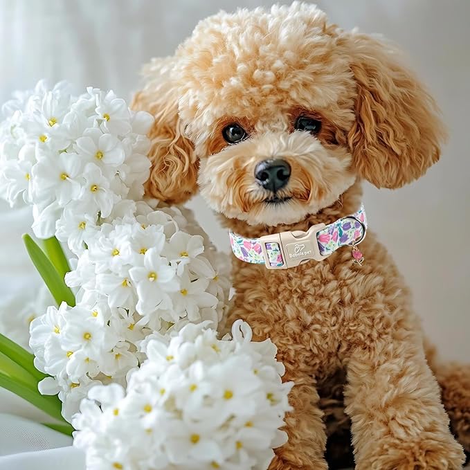 Babole Pet Floral Dog Collar for Large Dogs - Pink Purple Tulips Print Dog Collars, Spring Summer Cute Flower Puppy Collar, Lightweight Adjustable April Holiday Boy Girl Dogs Collars L