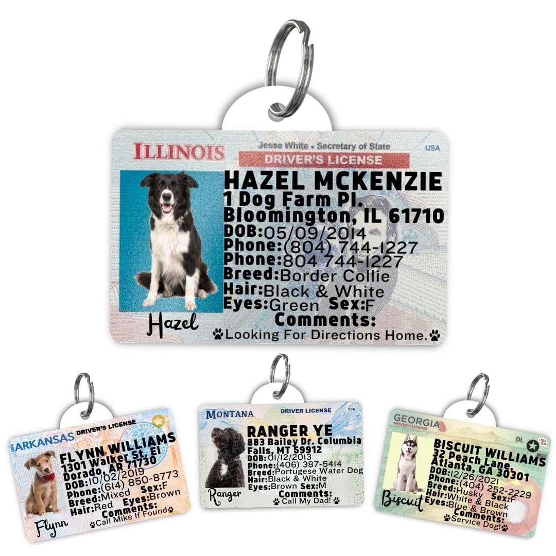 Dog Tags Personalized, Dog ID License Tag for Pets (Washington, Tag)