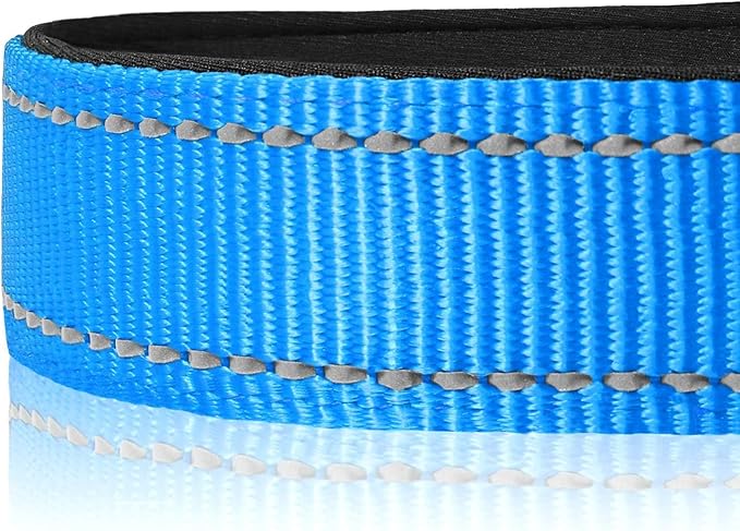 Joytale Reflective Dog Collar, Adjustable Neoprene Padded, Sky Blue XL