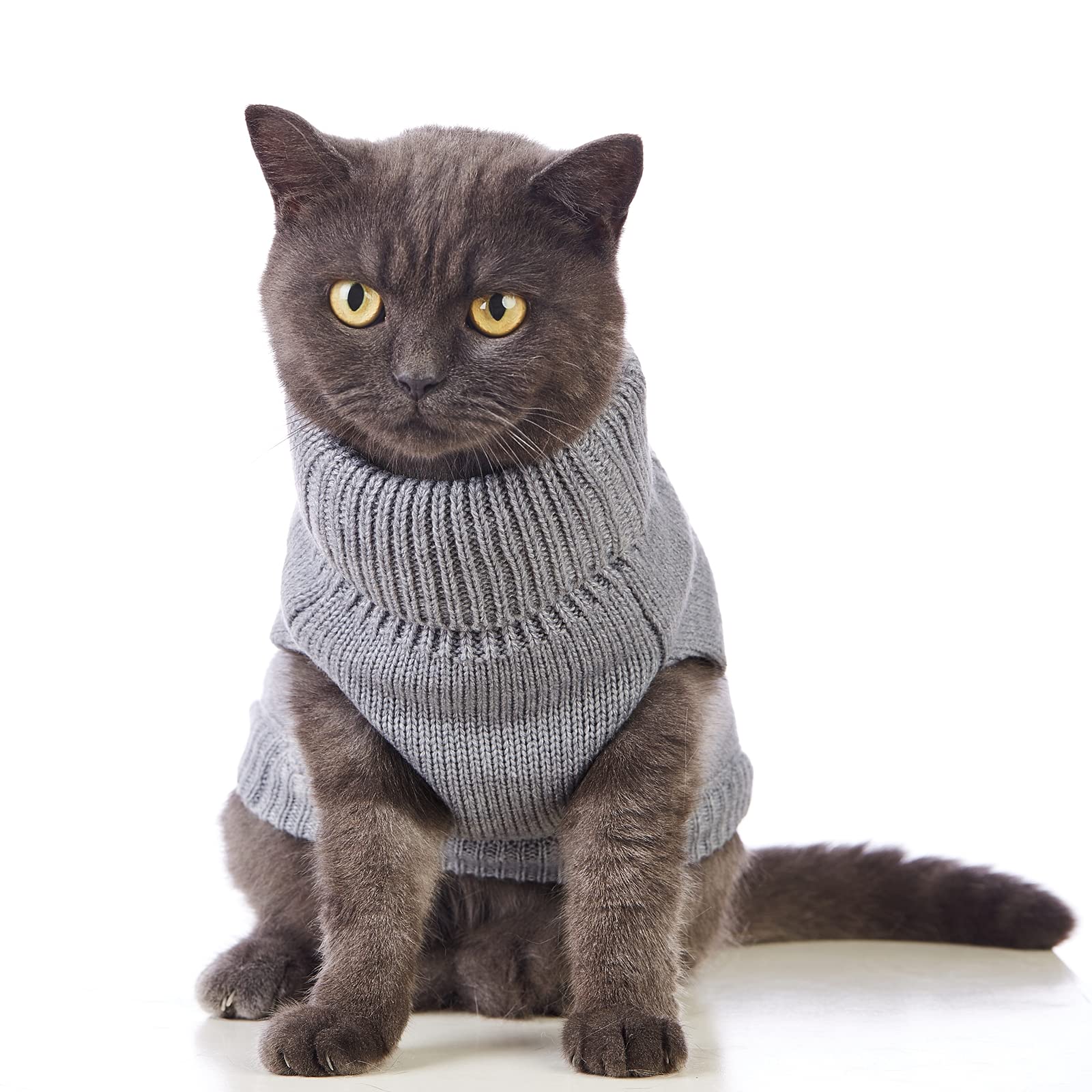 Jnancun Cat Sweater Stretchy,19 Colors,6 Sizes,Snug Winter (Grey, Large, Vest)