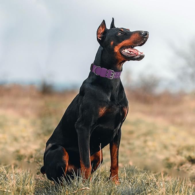 Tactical Dog Collar Military Adjustable Dog Collars Soft Nylon Training Collar with Patch Heavy Duty Metal Buckle Collars for Medium Large Dogs (Violet, L)