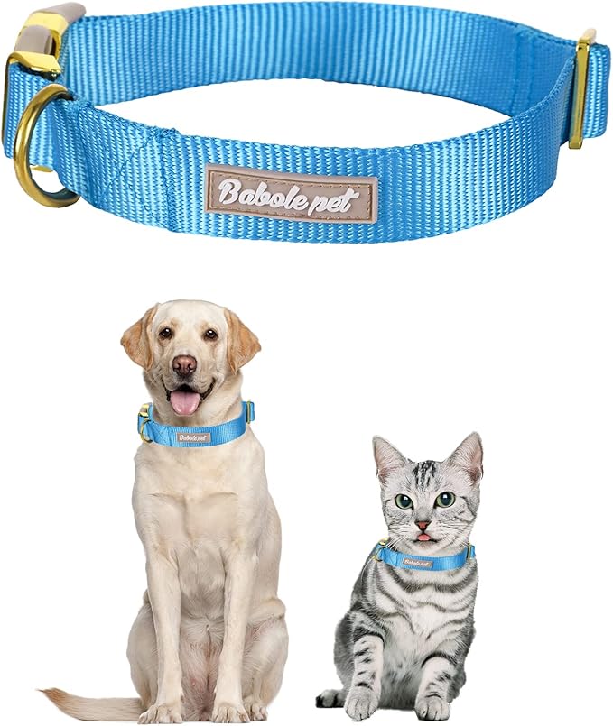 Babole Pet Nylon Dog Collar - Adjustable Blue Soft Webbing Dog Collars for Small Medium Large Dogs Boy Girl Puppy Collar with Safety Metal Buckle XS