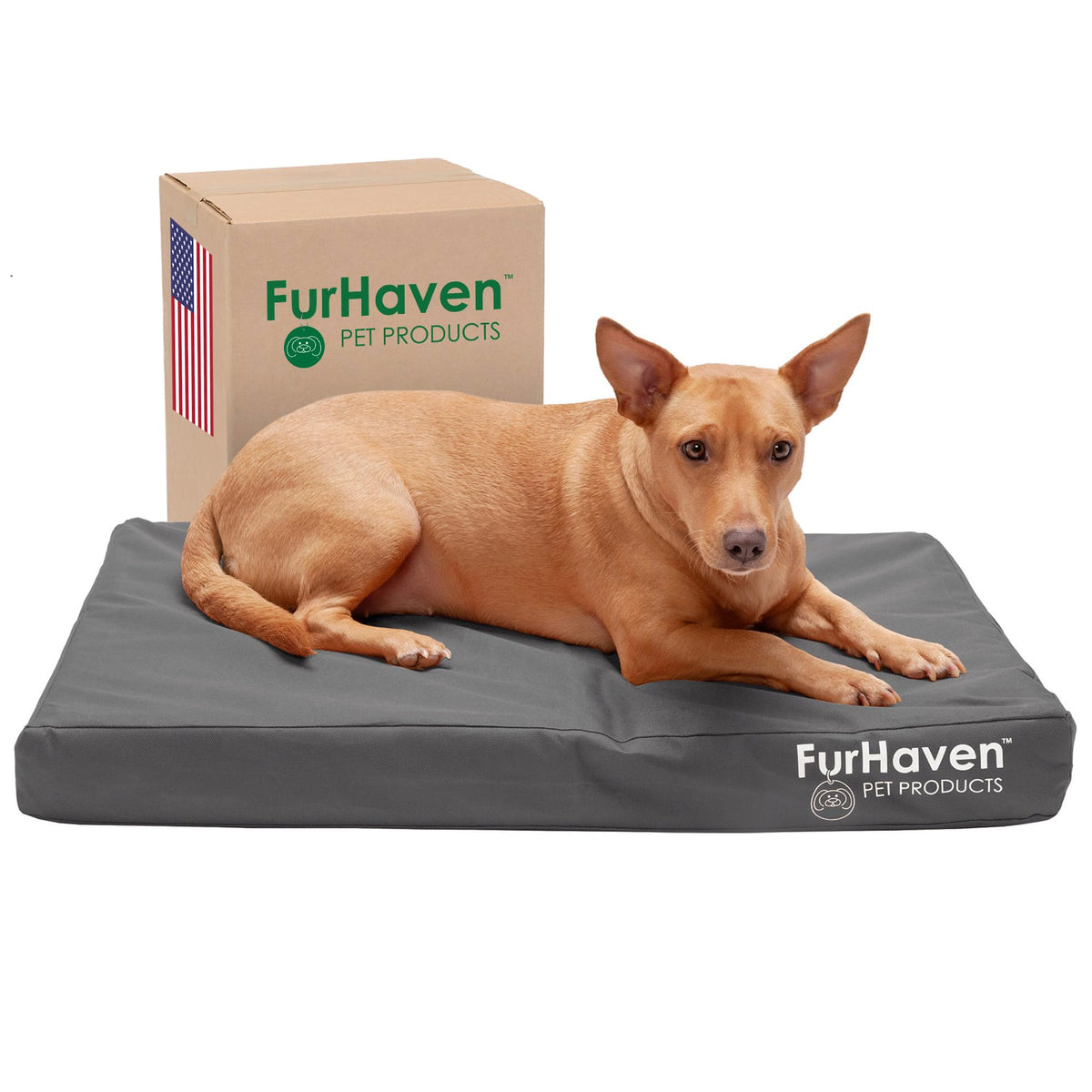 Furhaven Water-Resistant Orthopedic Dog Bed for Large Dogs w/ Removable Washable Cover, For Dogs Up to 125 lbs - Indoor/Outdoor Logo Print Oxford Polycanvas Mattress - Stone Gray, Jumbo Plus/XXL