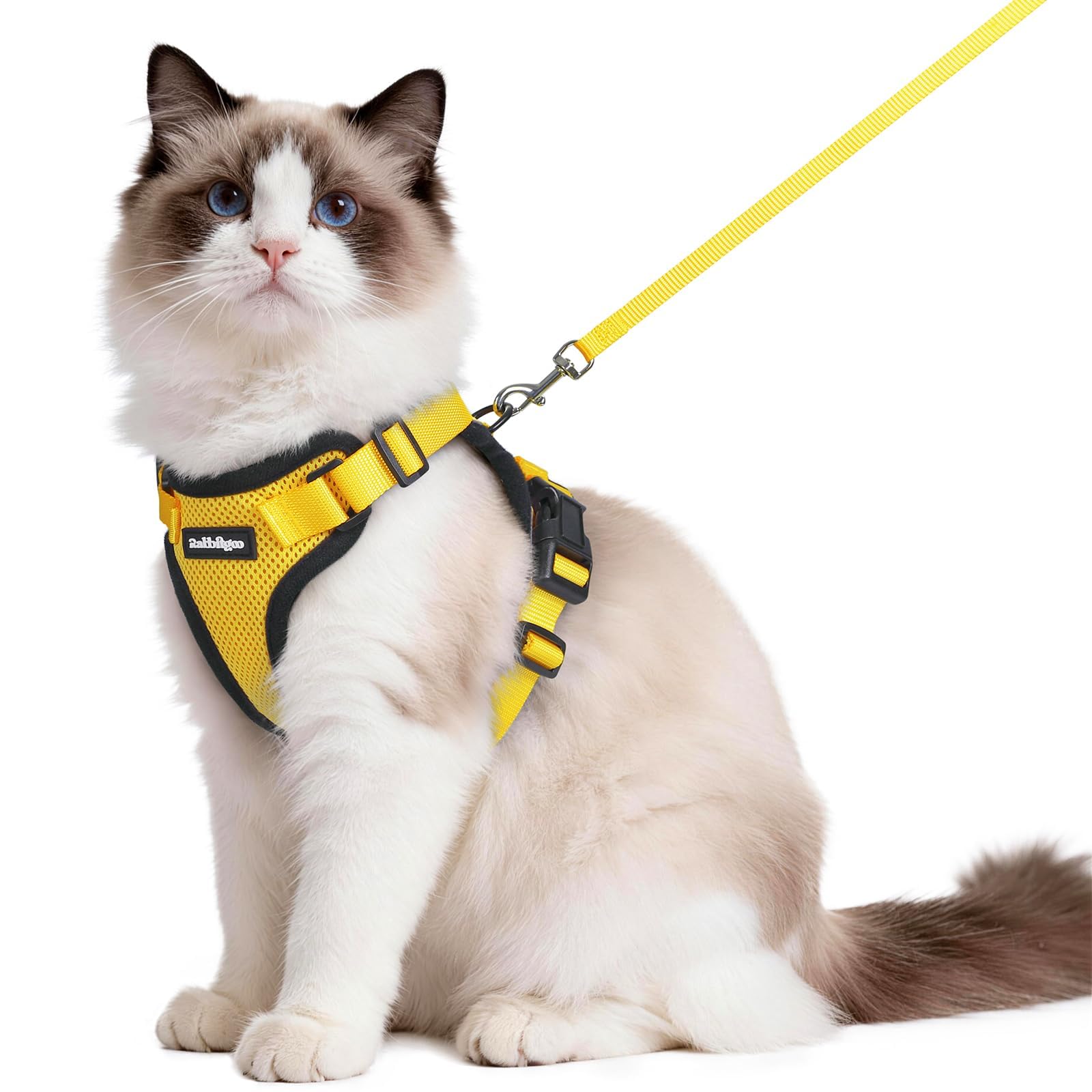 rabbitgoo Cat Harness and Leash Set, Escape Proof Vest, Emerald