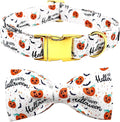 Bobo Rainbow Halloween Dog Collar, Pet Collar Bow Pumpkin Pet Collar Girl Boy Holiday Collars Gift Bow Cute Soft Puppy Collars for X-Small Puppy