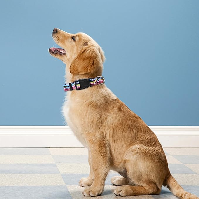 PWOD Reflective Dog Collar, Adjustable Soft Neoprene Padded Nylon Pet Collars with Buckle for Puppy and Small Dogs, Cats, Colorful Wave Pattern,M