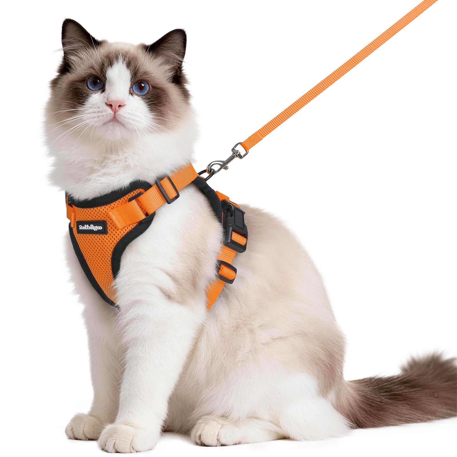 rabbitgoo Cat Harness and Leash Set, Escape Proof Vest, Emerald