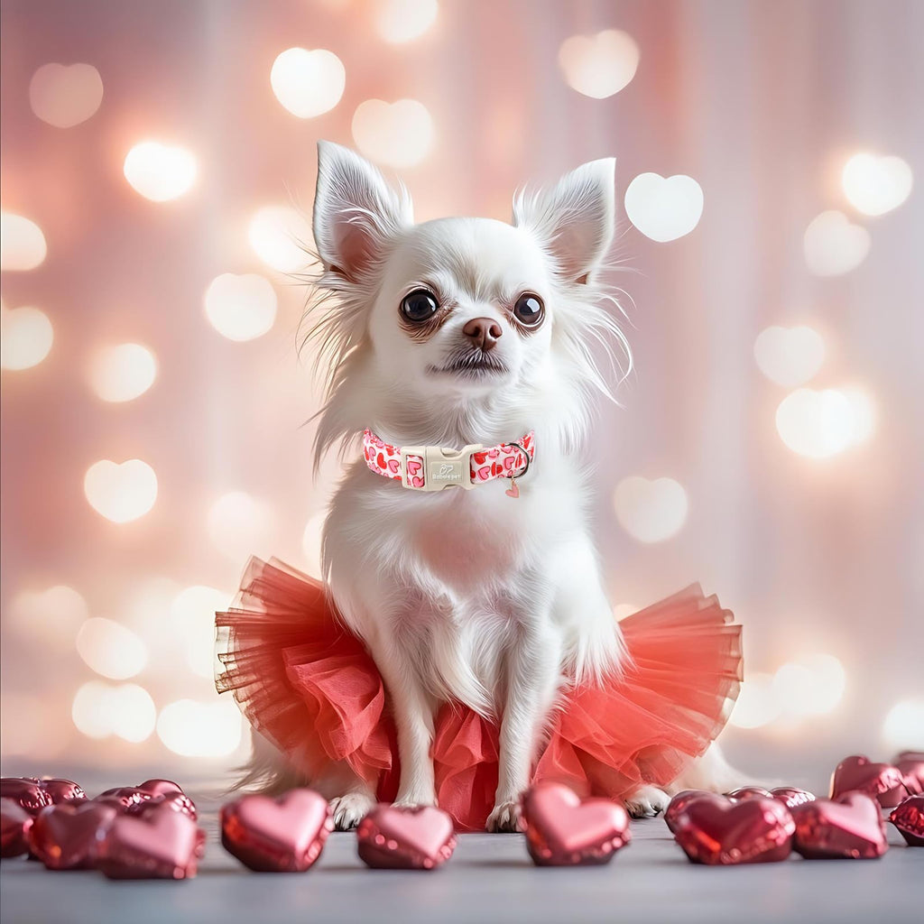 Babole Pet Valentines Dog Collar for Small Dogs - Pink Valentine Hearts Dog Collars, Girly Love Female Dogs Collars, Lightweight Adjustable Cute Puppy Collar with Quick-Release Buckle S