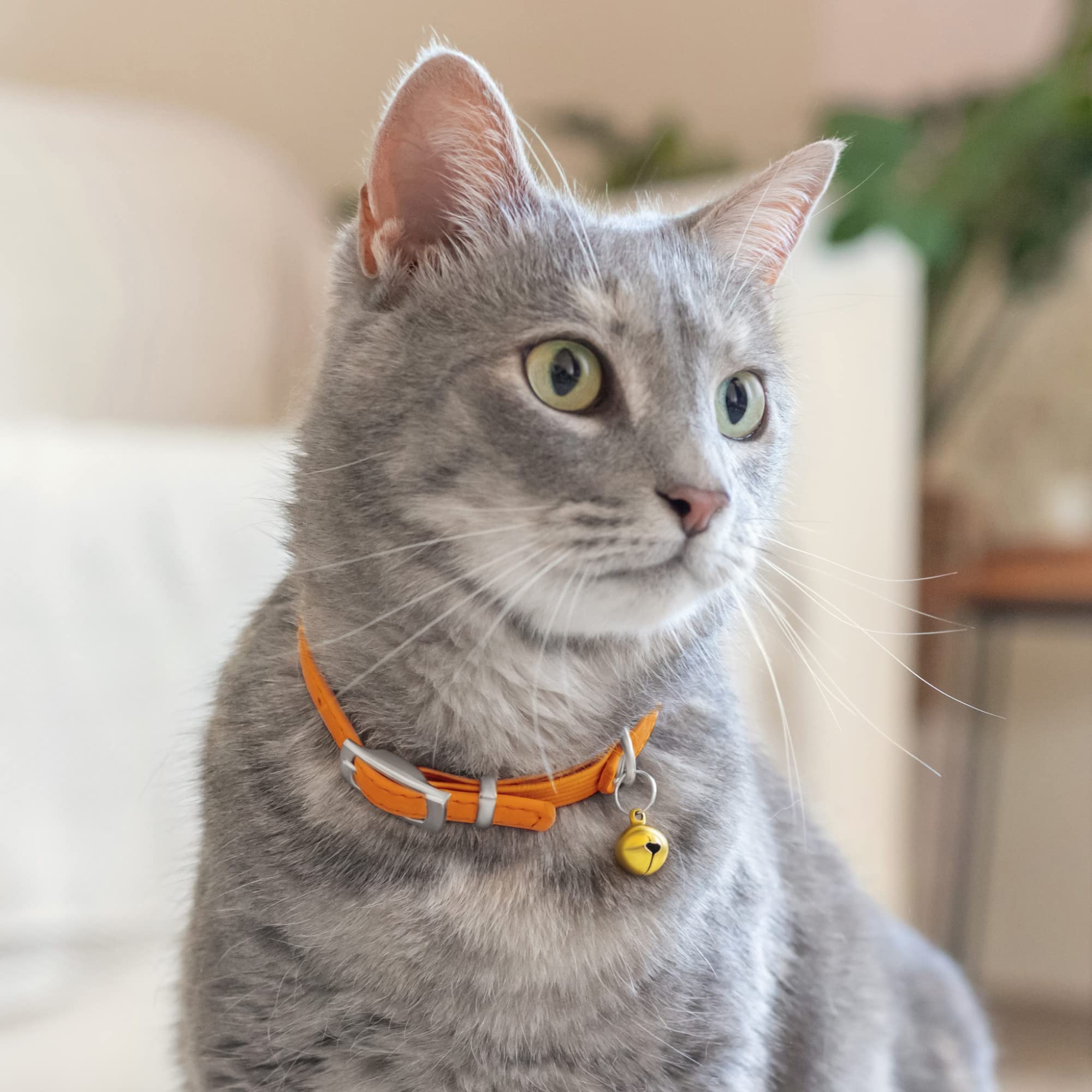 Soft Leather Cat Collar with Safety Elastic Strap - Orange