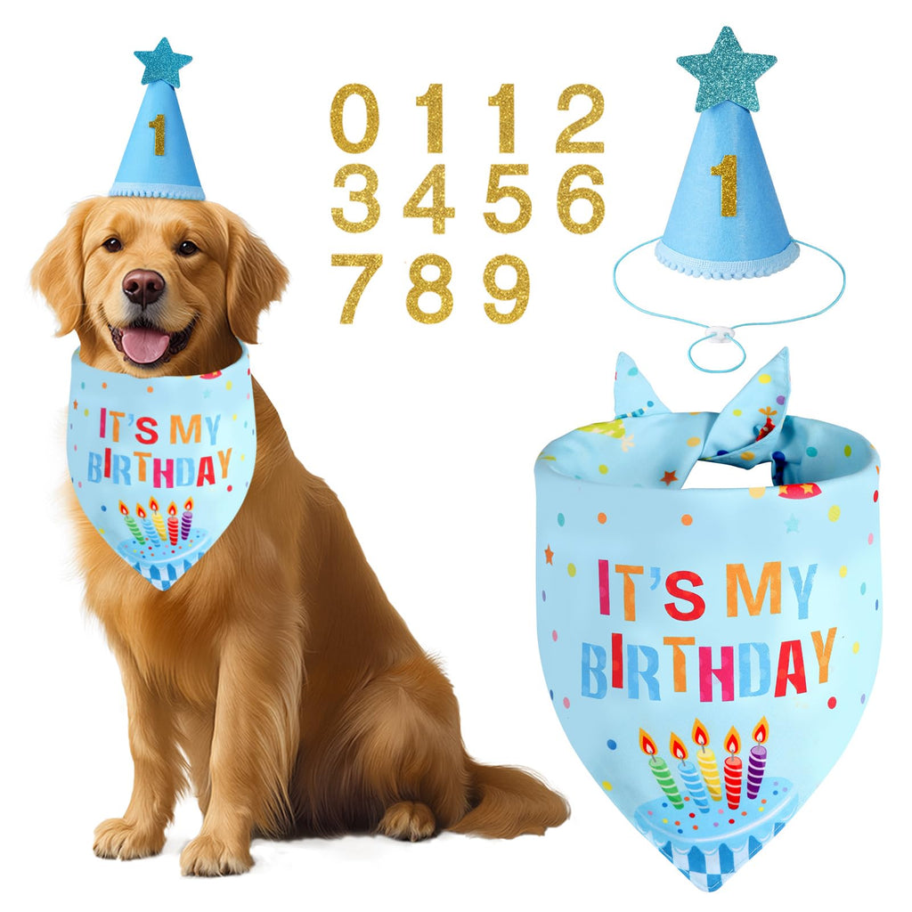 Agroon Blue Dog Birthday Set with Hat Bandana Numbers for Pet Puppy Boy