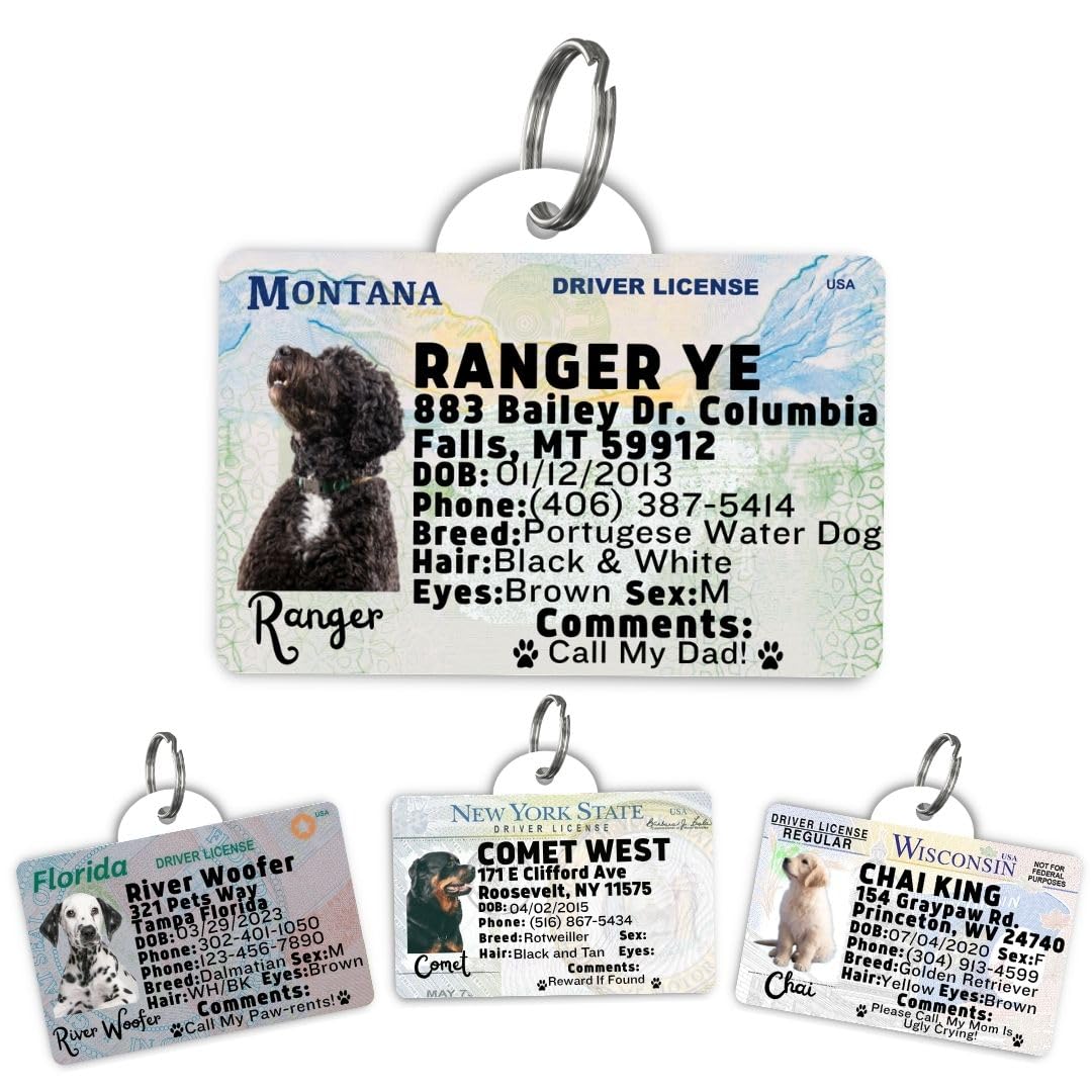 Dog Tags Personalized, Dog ID License Tag for Pets (Washington, Tag)