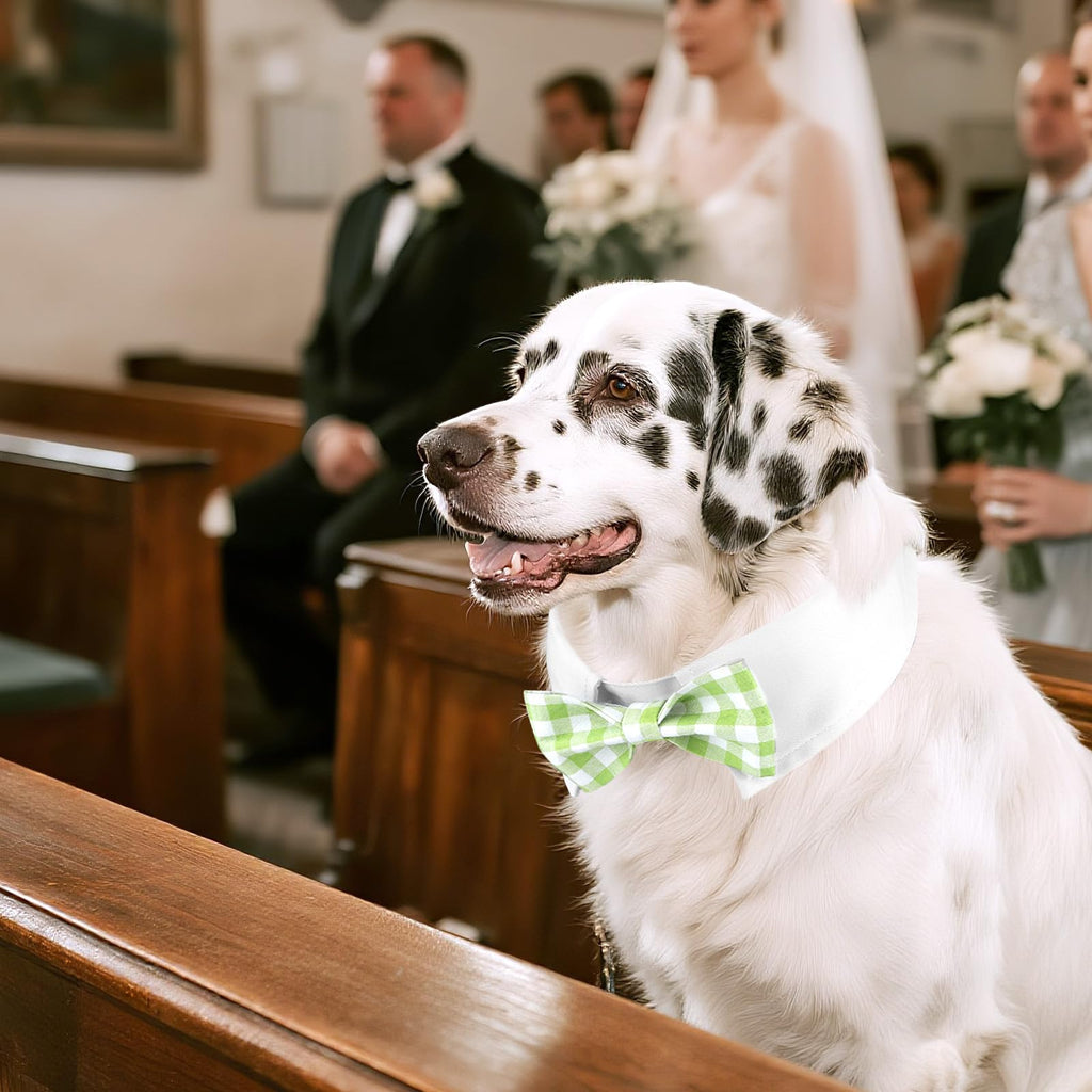 Segarty Dog Bow Tie for Neck Girths 16.5-21.2in, Adjustable Green Plaid Bowtie Collar for Extra Large Dog, Pet Necktie Comfortable Cotton Grooming Accessories for Formal Wedding Holiday Birthday Party