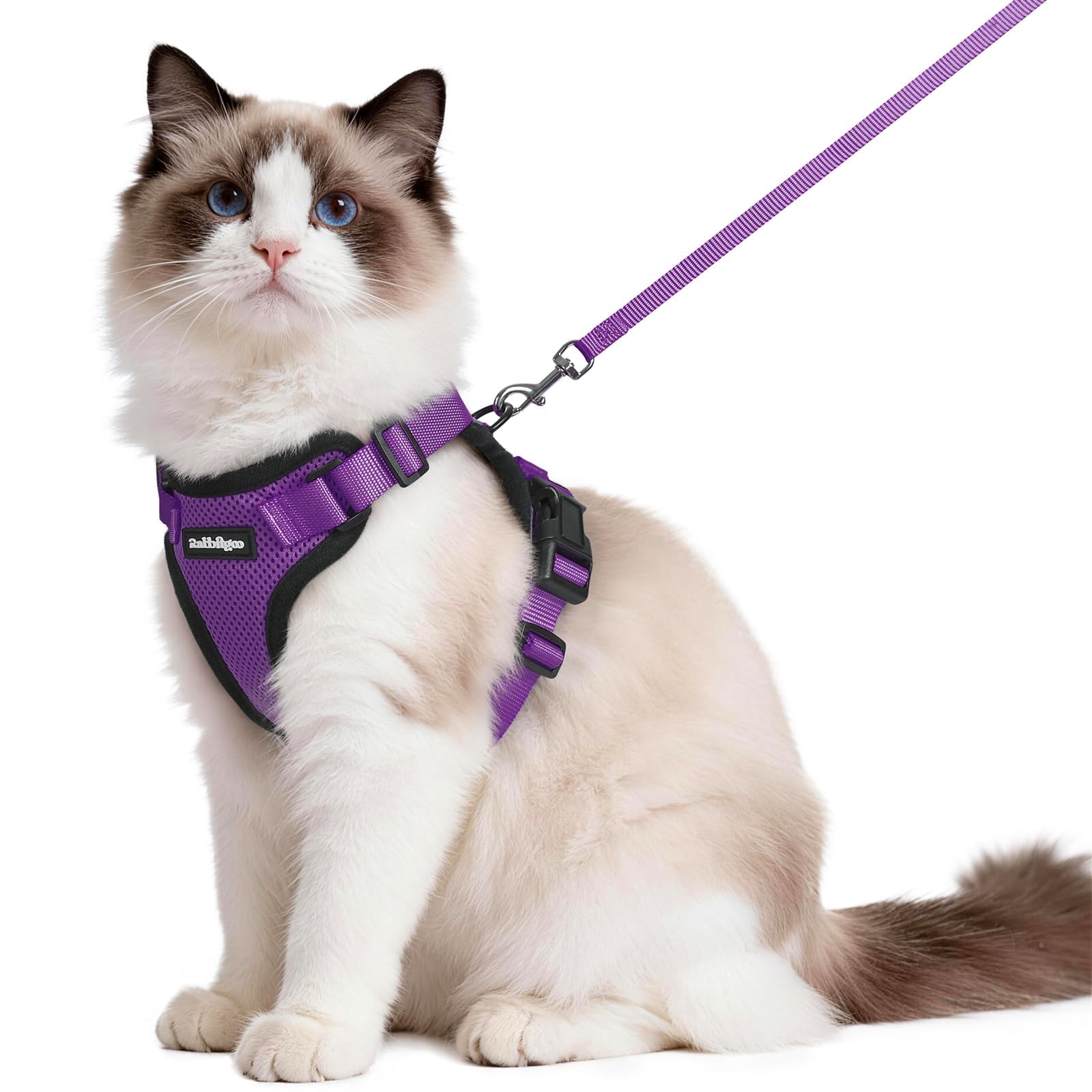 rabbitgoo Cat Harness and Leash Set, Escape Proof Vest, Emerald
